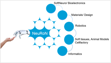 NeuRoN