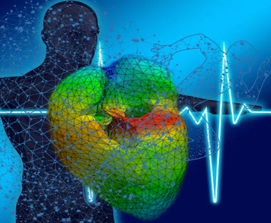 center of computational tissues